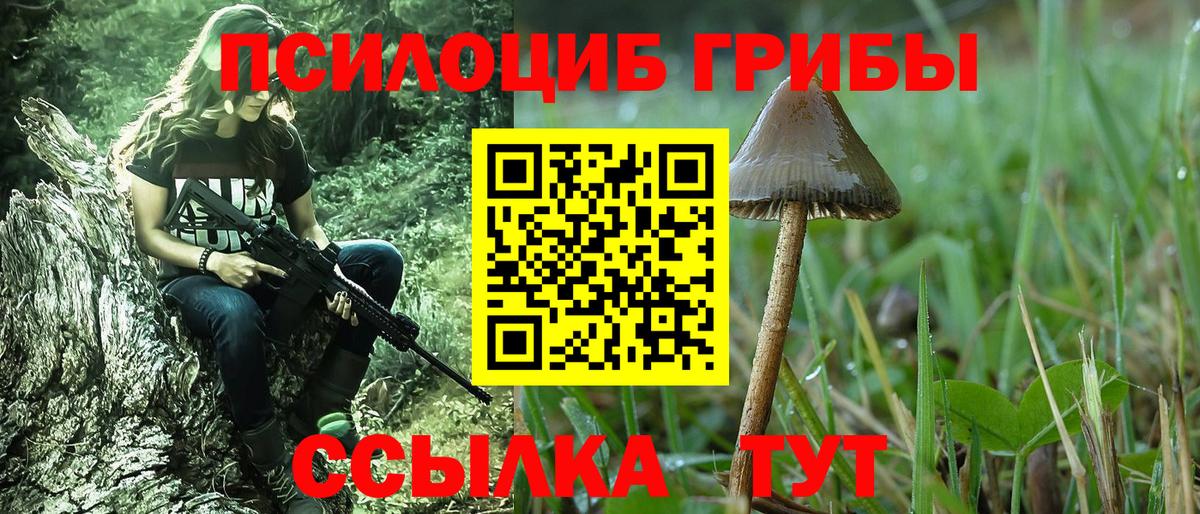 Псилоцибиновые грибы мицелий Ханты-Мансийск
