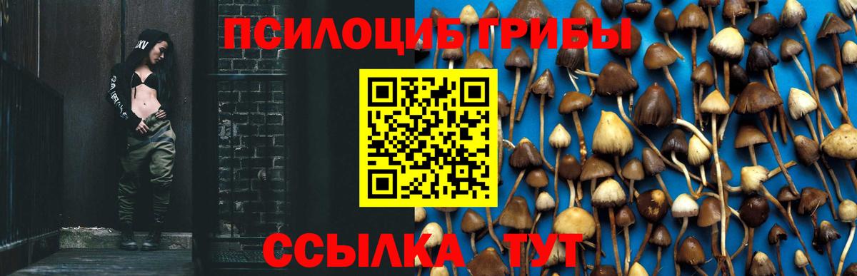 Ханты-Мансийск  Галлюциногенные грибы прущие грибы  даркнет сайт  Вход с VPN 